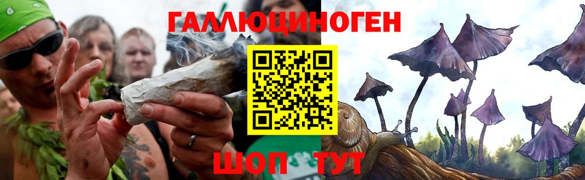 Галлюциногенные грибы мицелий Благовещенск